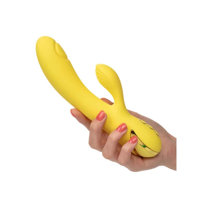 CALEXOTICS - SAN DIEGO SÉDUCTION – Image 3