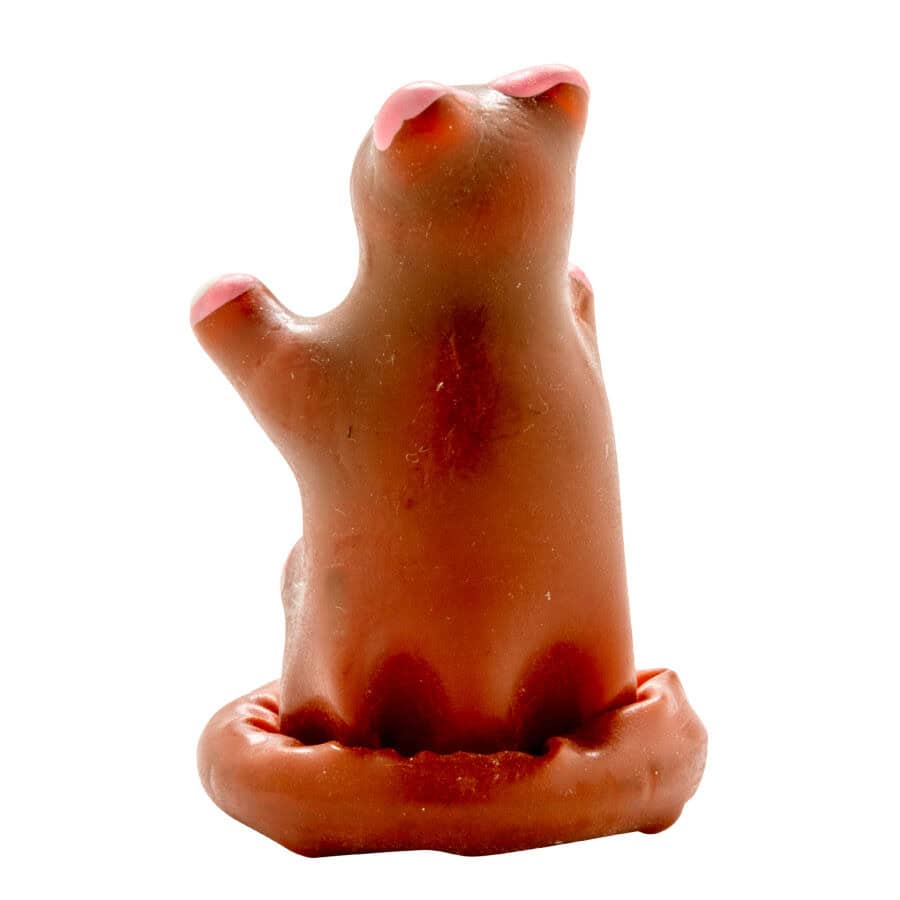 CONDOMERIE - PRÉSERVATIFS FANTAISIE PEINTS À LA MAIN OURS EN PELUCHE – Image 4